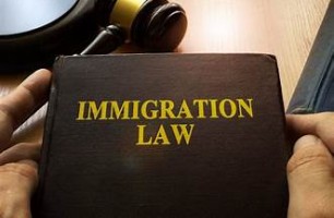 Immigration Law